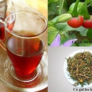 Nước uống cà gai leo