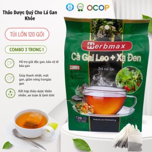 Trà cà gai leo xạ đen herbmax