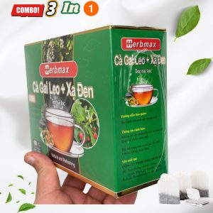 trà bồ công anh xạ đen herbmax