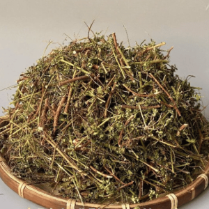 Diệp hạ châu khô