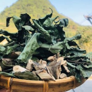 Cây xạ đen khô