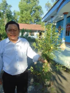 Cây rau mương
